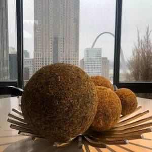 Meet your Posher, Reginald